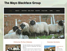 Tablet Screenshot of mayoblackface.com